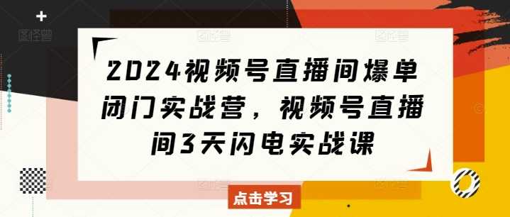 2024视频号直播间爆单闭门实战营，视频号直播间3天闪电实战课-网赚联盟