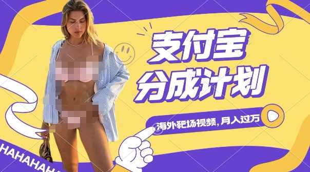 利用海外靶场射击视频，挣支付宝分成收益，轻松月入过W【揭秘】-网赚联盟