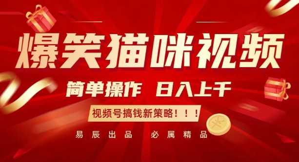 爆笑猫咪视频：简单操作，日入过K，视频号搞钱新策略【揭秘】-网赚联盟