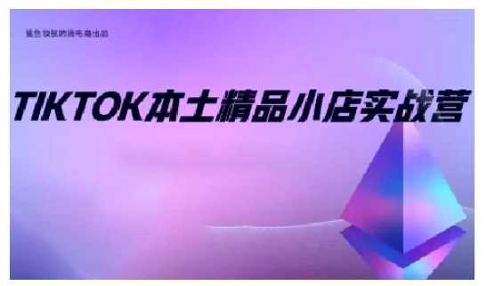 TikTok本土精品小店出海实战营，从入门到高阶，不止0-1!-网赚联盟