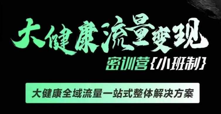 千万级大健康变现课线下课，大健康全域流量一站式整体解决方案-网赚联盟