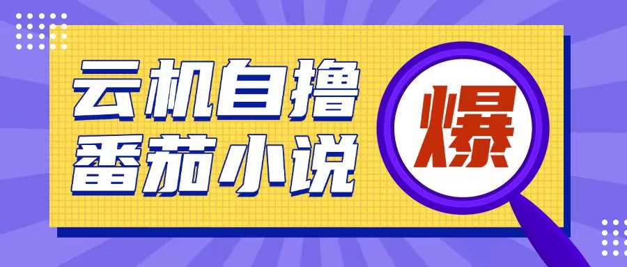 首发云手机自撸小说玩法，10块钱成本可撸200+收益操作简单【揭秘】-网赚联盟