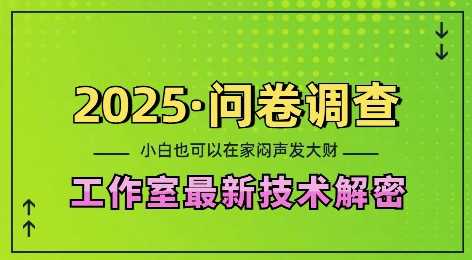 2025问卷调查最新工作室技术解密：一个人在家也可以闷声发大财，小白一天2张，可矩阵放大【揭秘】-网赚联盟