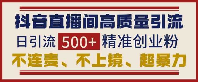 抖音直播间引流创业粉，无需连麦、不用上镜、超暴力，日引流500+高质量精准创业粉-网赚联盟