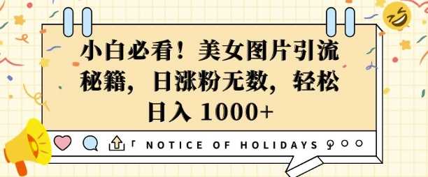 小白必看，美女图片引流秘籍，日涨粉无数，轻松日入几张【揭秘】-网赚联盟
