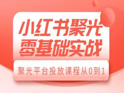 小红书聚光零基础实战，聚光平台投放课程从0到1-网赚联盟