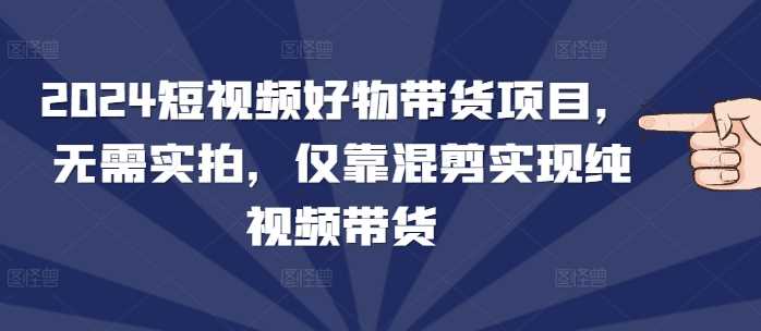 2024短视频好物带货项目，无需实拍，仅靠混剪实现纯视频带货-网赚联盟