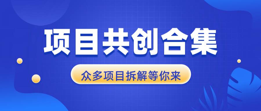 （13778期）项目共创合集，从0-1全过程拆解，让你迅速找到适合自已的项目-网赚联盟