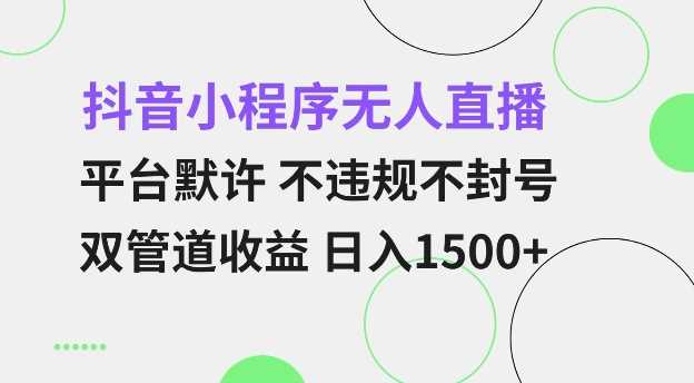 抖音小程序无人直播 平台默许 不违规不封号 双管道收益 日入多张 小白也能轻松操作【仅揭秘】-网赚联盟