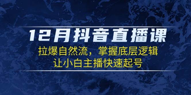 （13807期）12月抖音直播课：拉爆自然流，掌握底层逻辑，让小白主播快速起号-网赚联盟