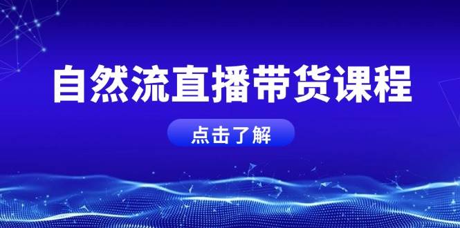 （13809期）自然流直播带货课程，结合微付费起号，打造运营主播，提升个人能力-网赚联盟