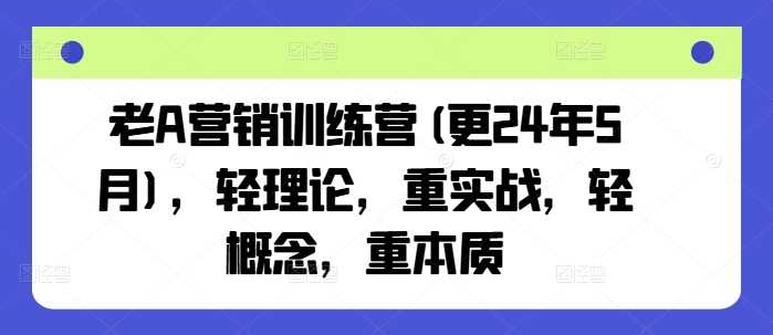 老A营销训练营(更24年12月)，轻理论，重实战，轻概念，重本质-网赚联盟
