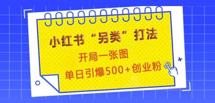 小红书“另类”打法，开局一张图，单日引爆500+精准创业粉【揭秘】-网赚联盟