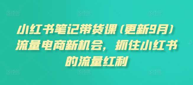小红书笔记带货课(更新12月)流量电商新机会，抓住小红书的流量红利-网赚联盟