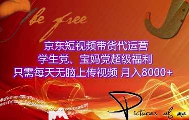 京东短视频带货代运营，学生党、宝妈党超级福利，只需每天无脑上传视频，月入8000+【仅揭秘】-网赚联盟