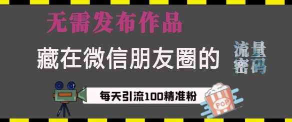 藏在微信朋友圈的流量密码，无需发布作品，单日引流100+精准创业粉【揭秘】-网赚联盟
