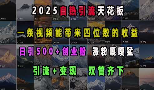 2025自热引流天花板，一条视频能带来四位数的收益，引流+变现双管齐下，日引500+创业粉，涨粉嘎嘎猛-网赚联盟