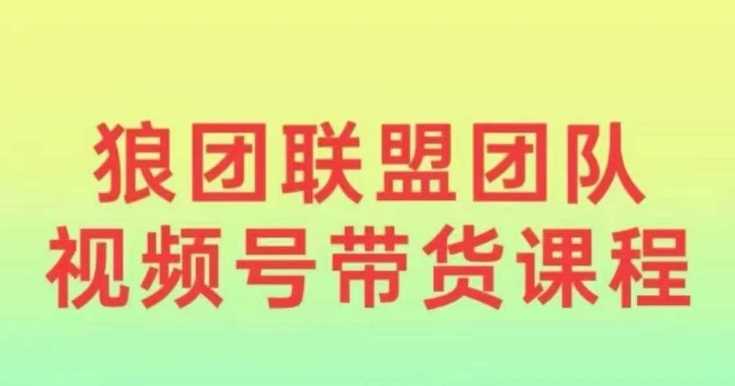 狼团联盟2024视频号带货，0基础小白快速入局视频号-网赚联盟