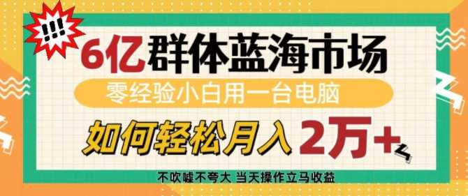 6亿群体蓝海市场，零经验小白用一台电脑，如何轻松月入过w【揭秘】-网赚联盟