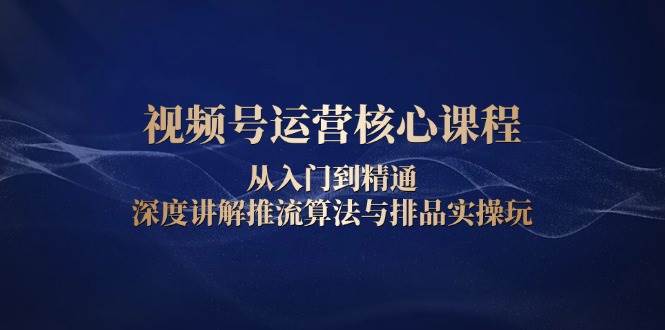 视频号运营核心课程，从入门到精通，深度讲解推流算法与排品实操玩-网赚联盟
