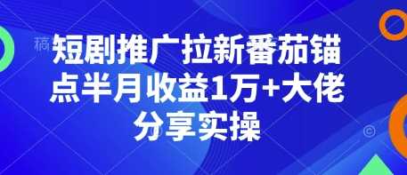 短剧推广拉新番茄锚点半月收益1万+大佬分享实操-网赚联盟