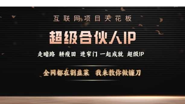 互联网项目天花板，超级合伙人IP，全网都在割韭菜，我来教你做镰刀【仅揭秘】-网赚联盟