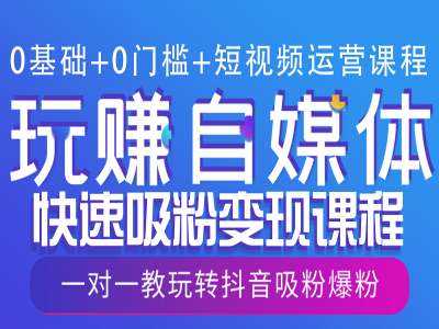 0基础+0门槛+短视频运营课程，玩赚自媒体快速吸粉变现课程，一对一教玩转抖音吸粉爆粉-网赚联盟