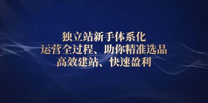 （13914期）独立站新手体系化 运营全过程，助你精准选品、高效建站、快速盈利-网赚联盟