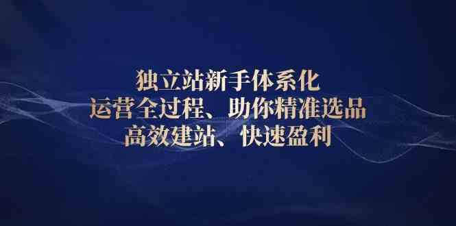 独立站新手体系化 运营全过程，助你精准选品、高效建站、快速盈利-网赚联盟