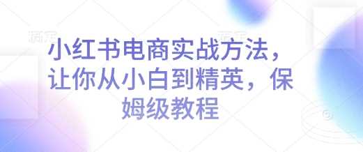 小红书电商实战方法，让你从小白到精英，保姆级教程-网赚联盟