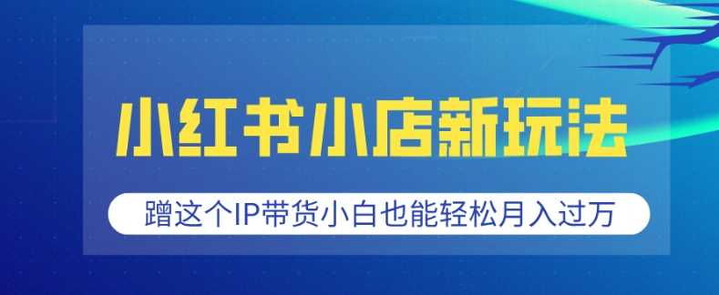 小红书小店新玩法，蹭这个IP带货，小白也能轻松月入过W【揭秘】-网赚联盟