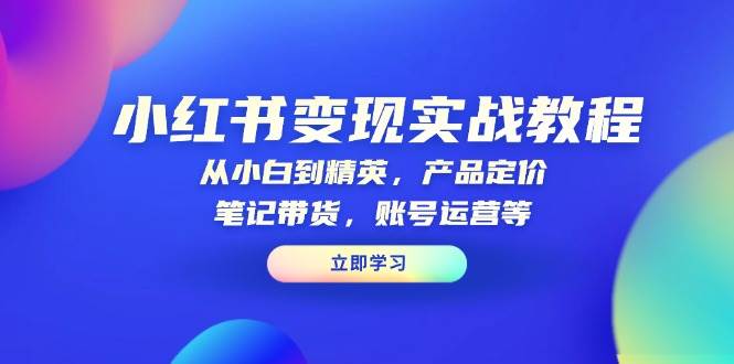 小红书变现实战教程：从小白到精英，产品定价，笔记带货，账号运营等-网赚联盟