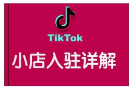 TikTok跨境小店运营全攻略，帮助你独立运营TK跨境小店的能力，实现销量增长-网赚联盟