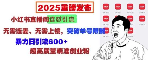 2025重磅发布：小红书直播间连怼引流，无需连麦、无需上镜，突破单号限制，暴力日引流600+-网赚联盟