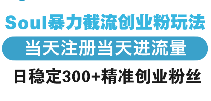 Soul暴力截流创业粉玩法，当天注册当天进流量，日稳定300+精准创业粉丝-网赚联盟