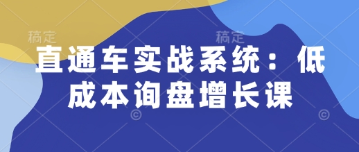 直通车实战系统：低成本询盘增长课，让个人通过技能实现升职加薪，让企业低成本获客，订单源源不断-网赚联盟