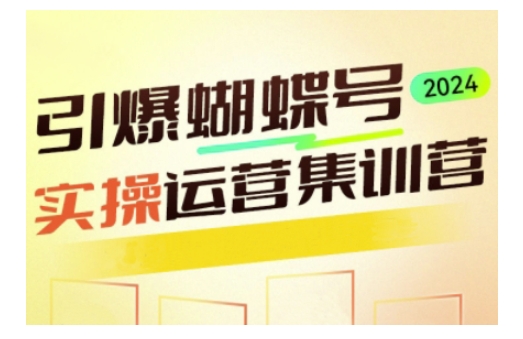 引爆蝴蝶号实操运营，助力你深度掌握蝴蝶号运营，实现高效实操，开启流量变现之路-网赚联盟