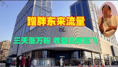 蹭胖东来流量，三天涨万粉，收益直接起飞-网赚联盟