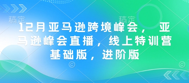12月亚马逊跨境峰会， 亚马逊峰会直播，线上特训营基础版，进阶版-网赚联盟