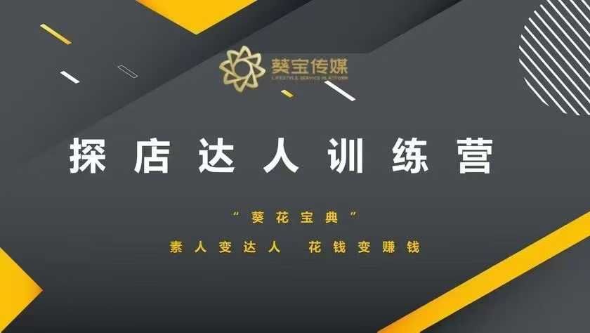 探店达人训练营，素人变达人，花钱变赚钱-网赚联盟