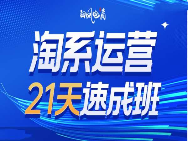 淘系运营21天速成班35期，年前最后一波和2025方向-网赚联盟