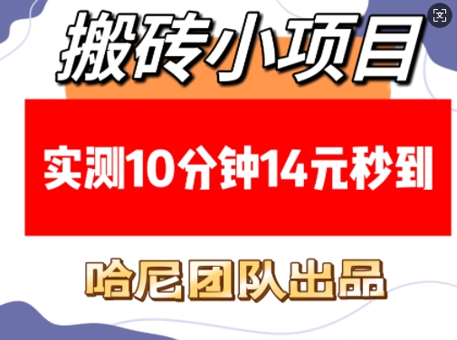 搬砖小项目，实测10分钟14元秒到，每天稳定几张(赠送必看稳定)-网赚联盟