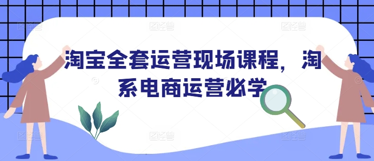 淘宝全套运营现场课程，淘系电商运营必学-网赚联盟