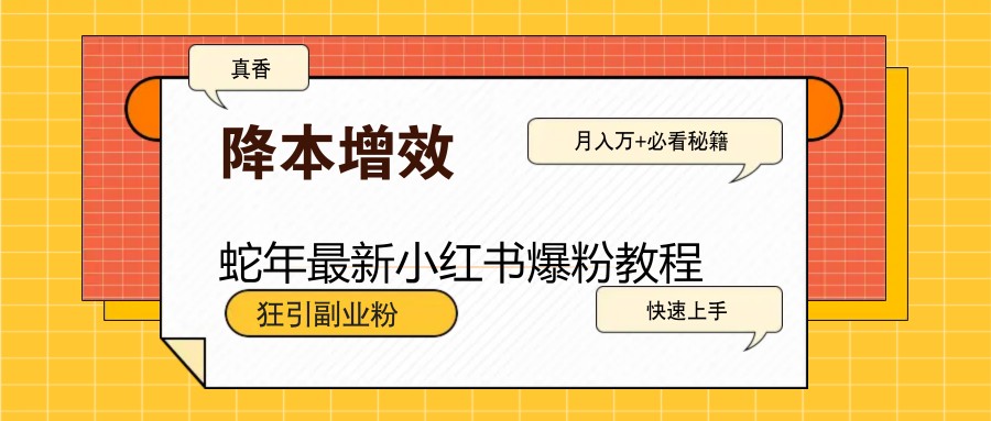 蛇年最新小红书爆粉教程，狂引副业粉，月入万+必看-网赚联盟