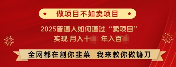 必看，做项目不如卖项目，2025普通人如何通过“卖项目”实现月入十个，年入百个-网赚联盟