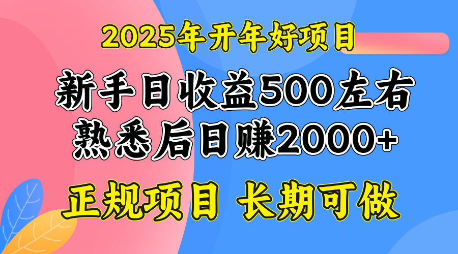 2025开年好项目，单号日收益2000左右-网赚联盟