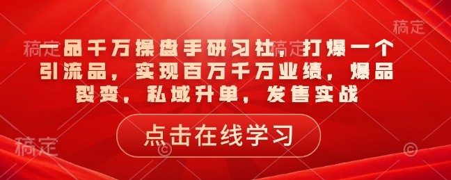 一品千万操盘手研习社，打爆一个引流品，实现百万千万业绩，爆品裂变，私域升单，发售实战-网赚联盟