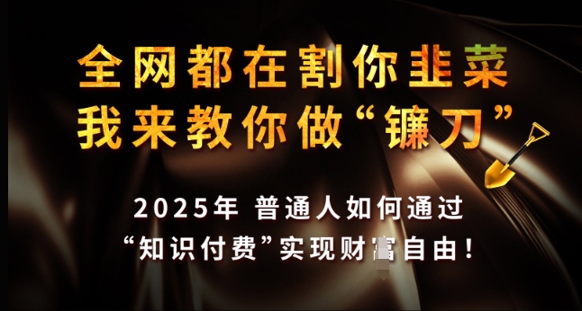 全网都在割你韭菜，我来教你做镰刀，2025年普通人如何通过 知识付费 实现财F自由【揭秘】-网赚联盟