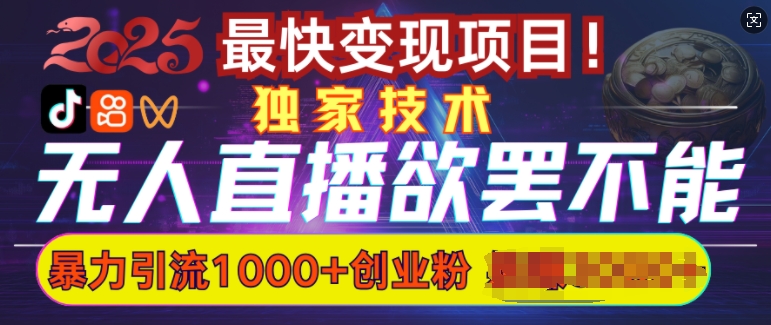 欲罢不能的无人直播引流，超暴力日引流1000+高质量精准创业粉-网赚联盟