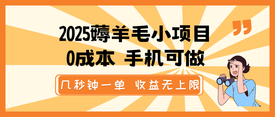 2025薅羊毛小项目，0成本 手机可做，几秒钟一单，收益无上限-网赚联盟